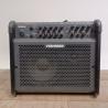 Fishman Loudbox 100