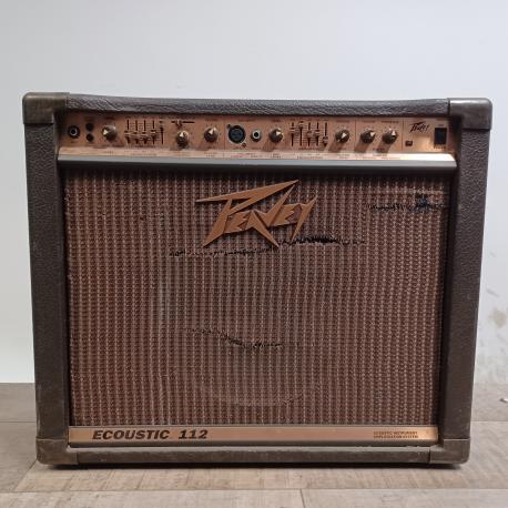 Peavey Ecoustic 112