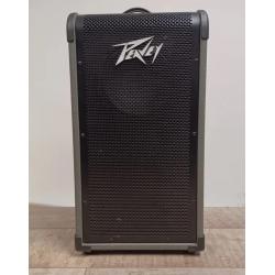 Peavey Max 208