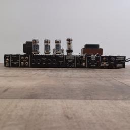 Mesa Boogie Rect-O-Verb chassis