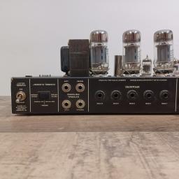 Mesa Boogie Rect-O-Verb chassis