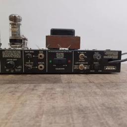 Mesa Boogie Rect-O-Verb chassis