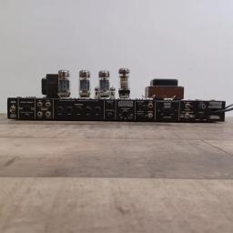 Mesa Boogie Rect-O-Verb chassis