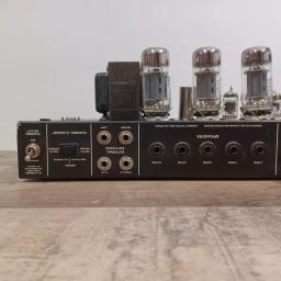 Mesa Boogie Rect-O-Verb chassis