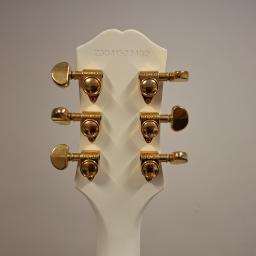 Les Paul Custom EMG 81 85